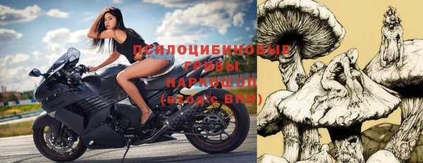 прущая мука Дмитриев