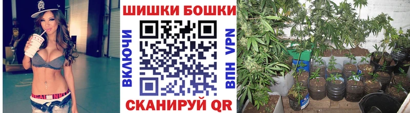 Канабис гибрид  купить   Арзамас 